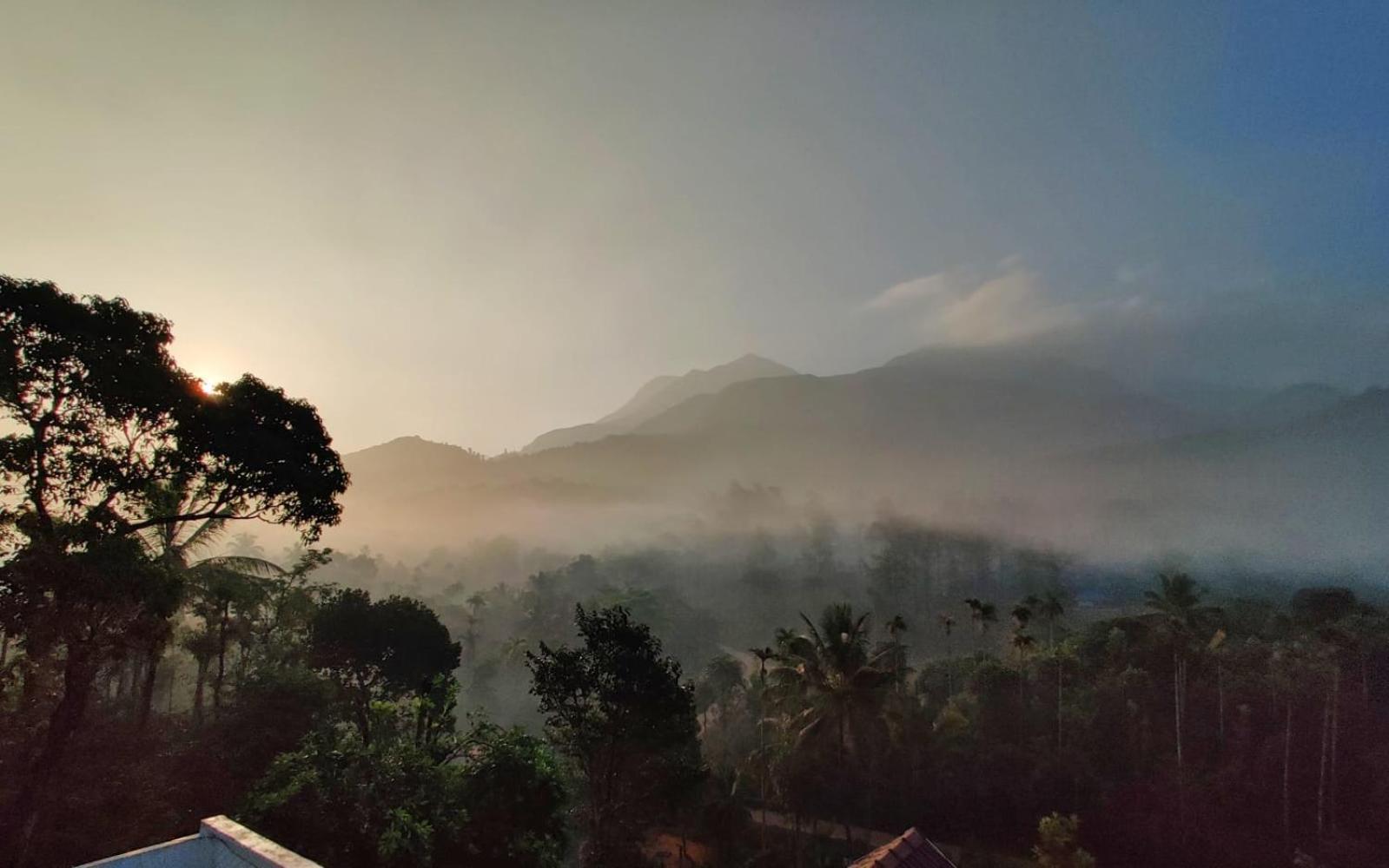 Padikkal Bungalow Vythiri Bagian luar foto
